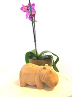 "Hippo" - trædyr -  15 x 9 x 7 cm